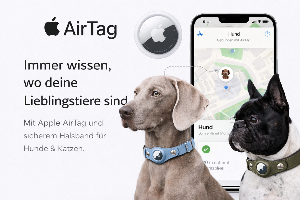 AirTag tracking example showing leather dog collar connected to smartphone app