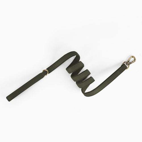 Premium black leather dog leash with durable metal clip and hand strap