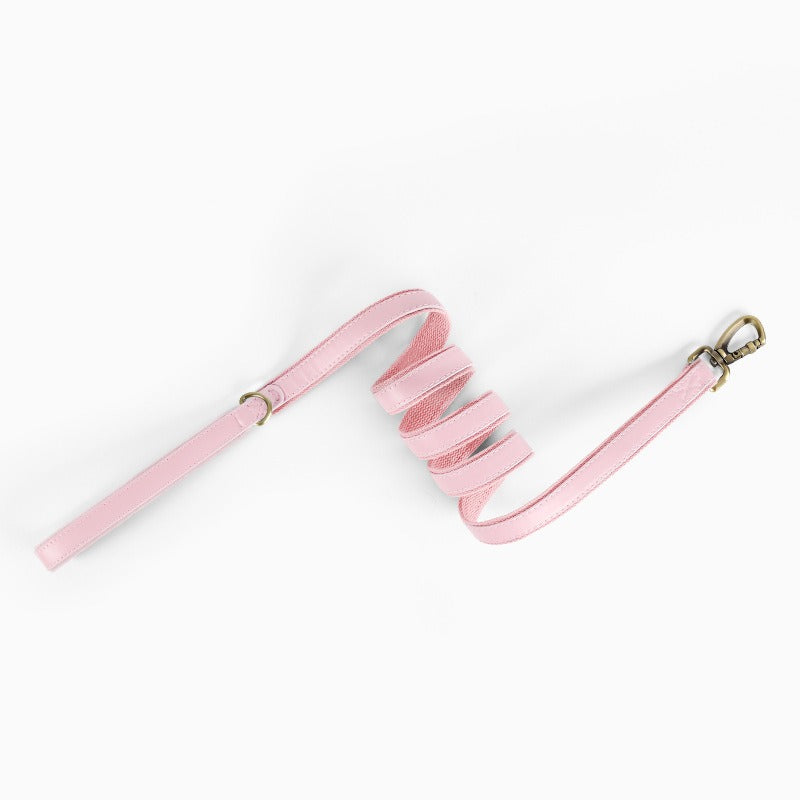 Premium pink leather dog leash with metal clip and soft leather handle