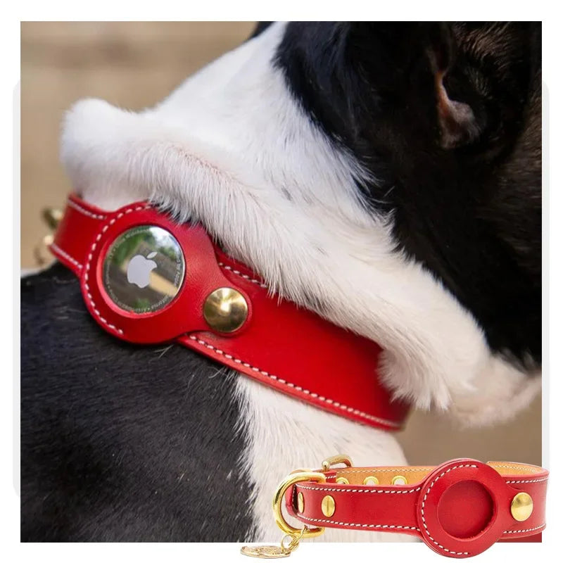 Black leather AirTag dog collar worn by dog outdoors